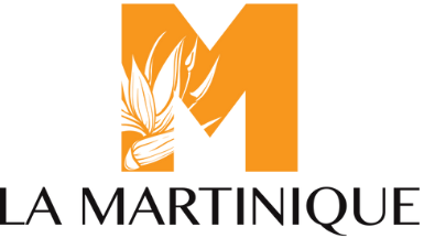 Logo IDEAT